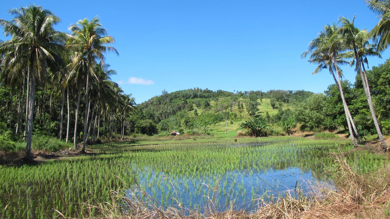 Tampat Do Aman Villa Kudat Eksteriør billede